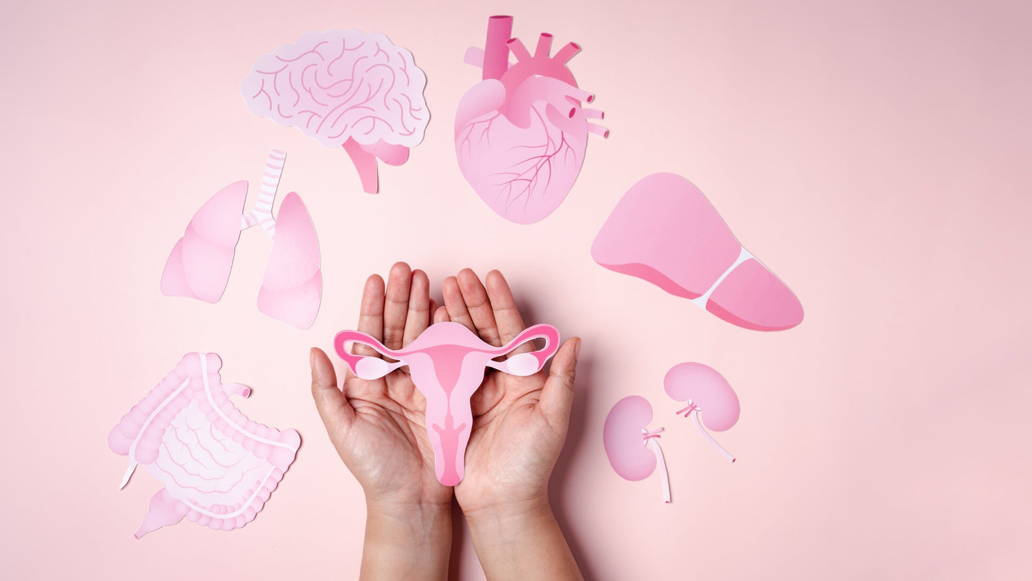 The difference between, PCOS and Endometriosis.